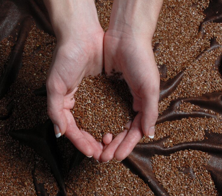 Image of Flaxseed for Weight Loss: How to Use & Daily Intake Guide