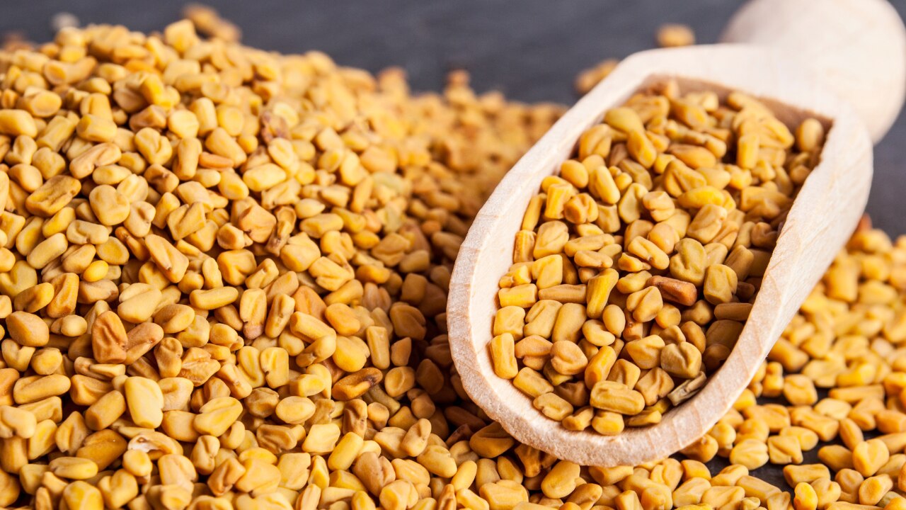 Fenugreek Seed Nutrition