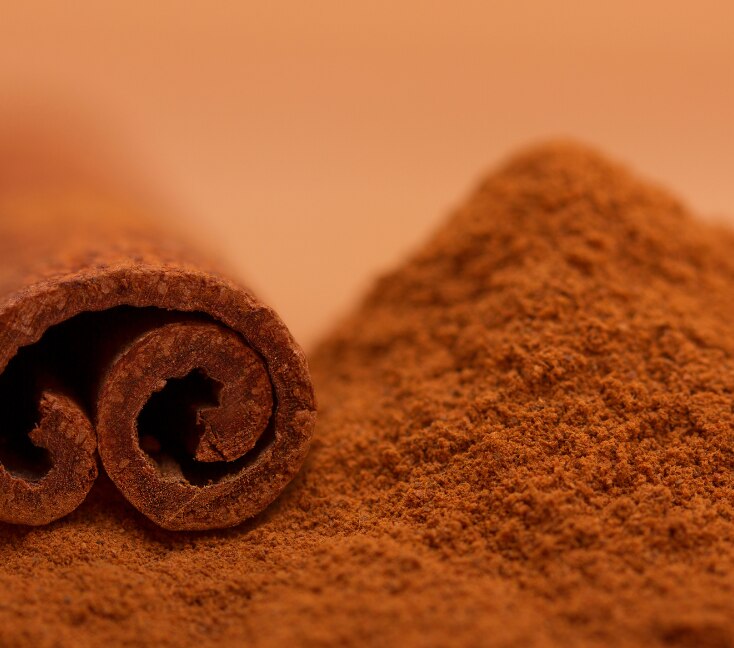 Image of Cinnamon Benefits: Key Uses, Nutrition, Types & Side Effects