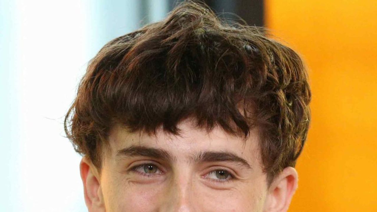 Textured Mushroom Haircut