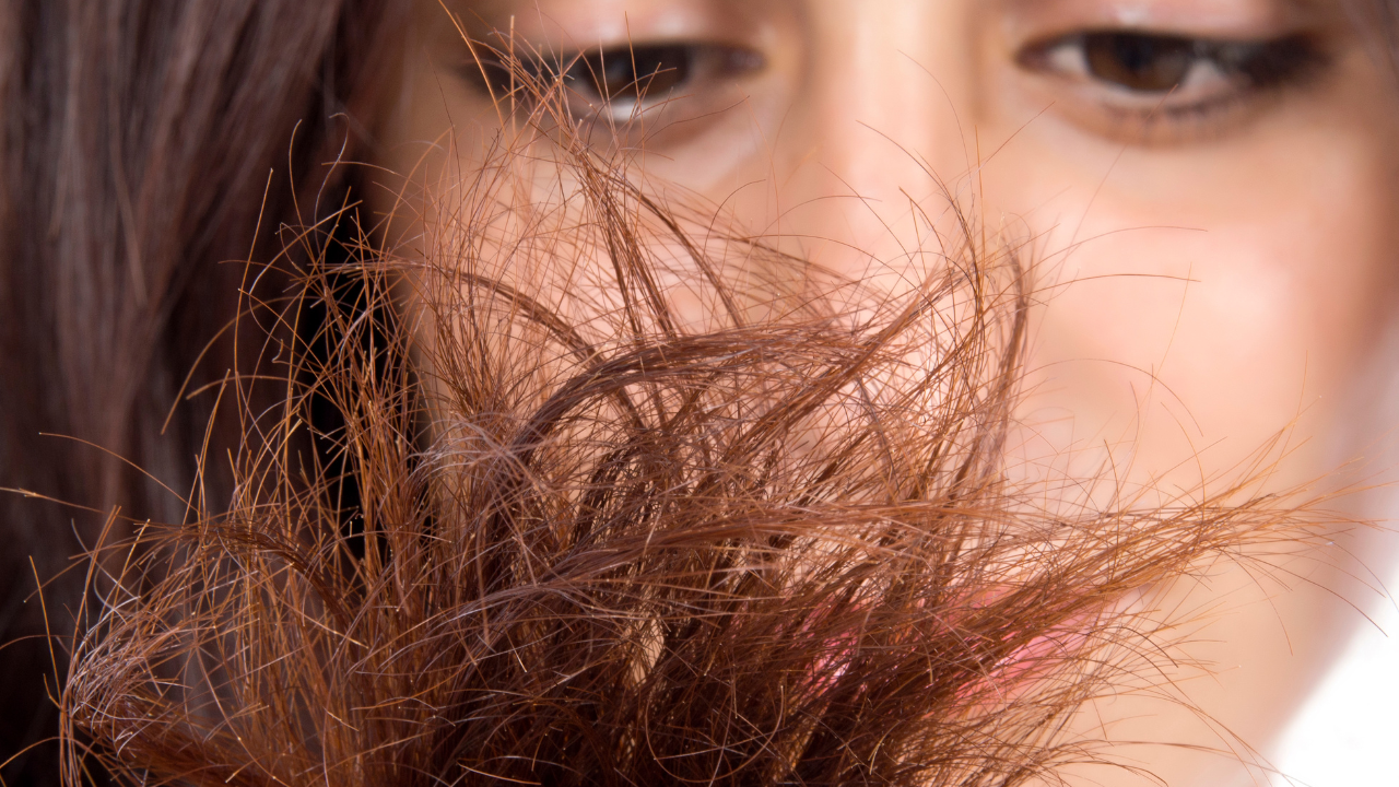 4. Trim Split Ends Regularly