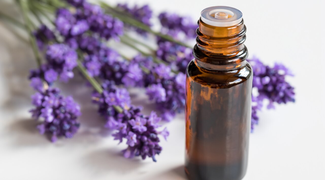 Lavender