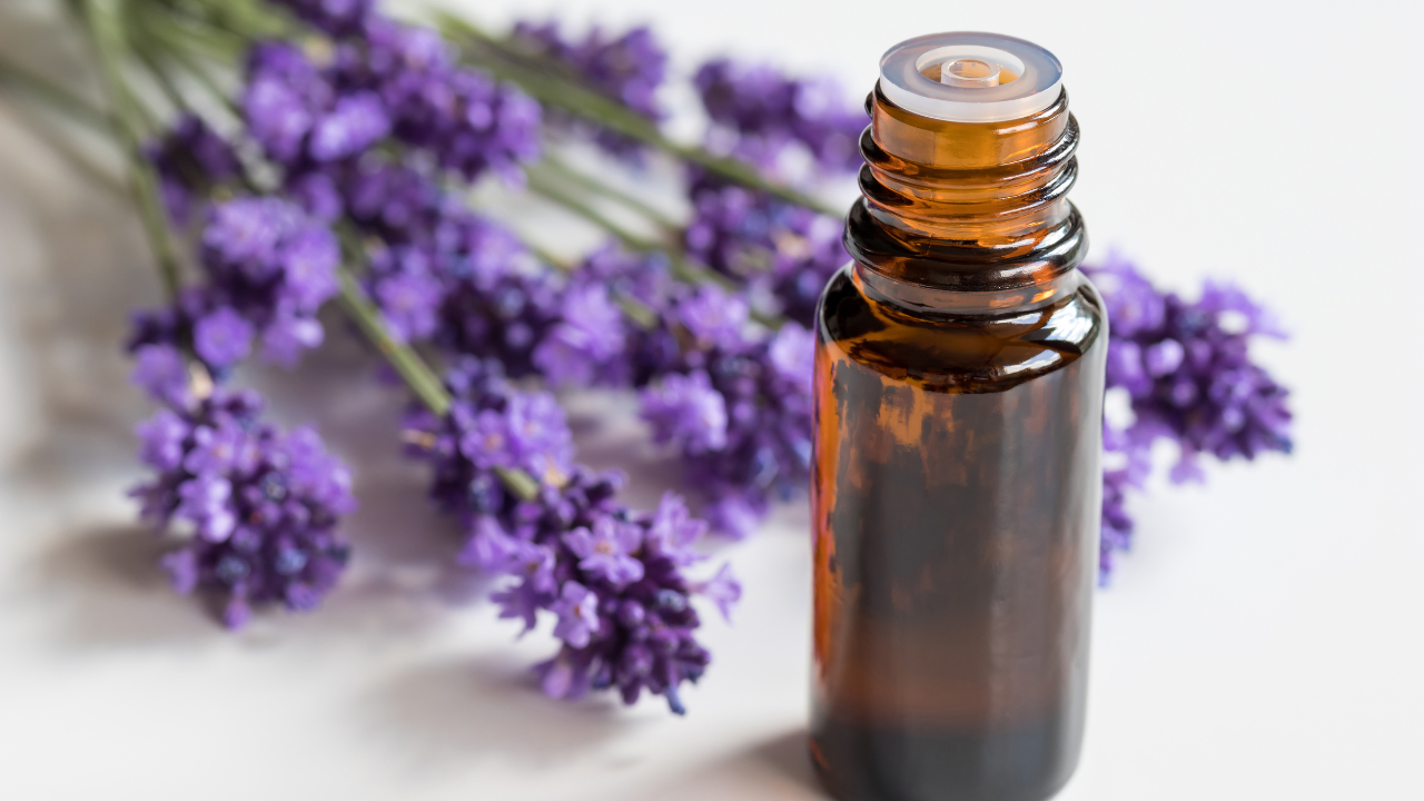 Lavender