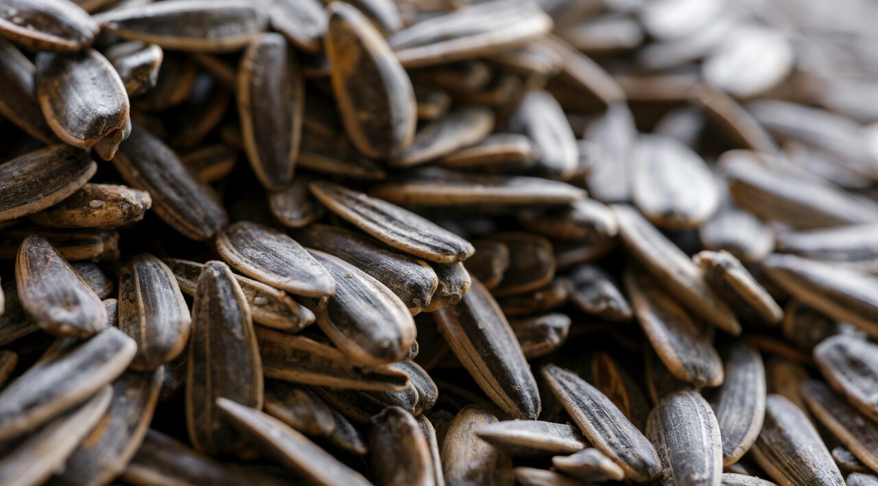 Sunflower Seeds