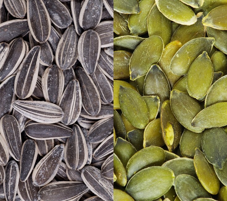 Image of Pumpkin Seeds vs Sunflower Seeds: Which Seed Is Better for Beauty?