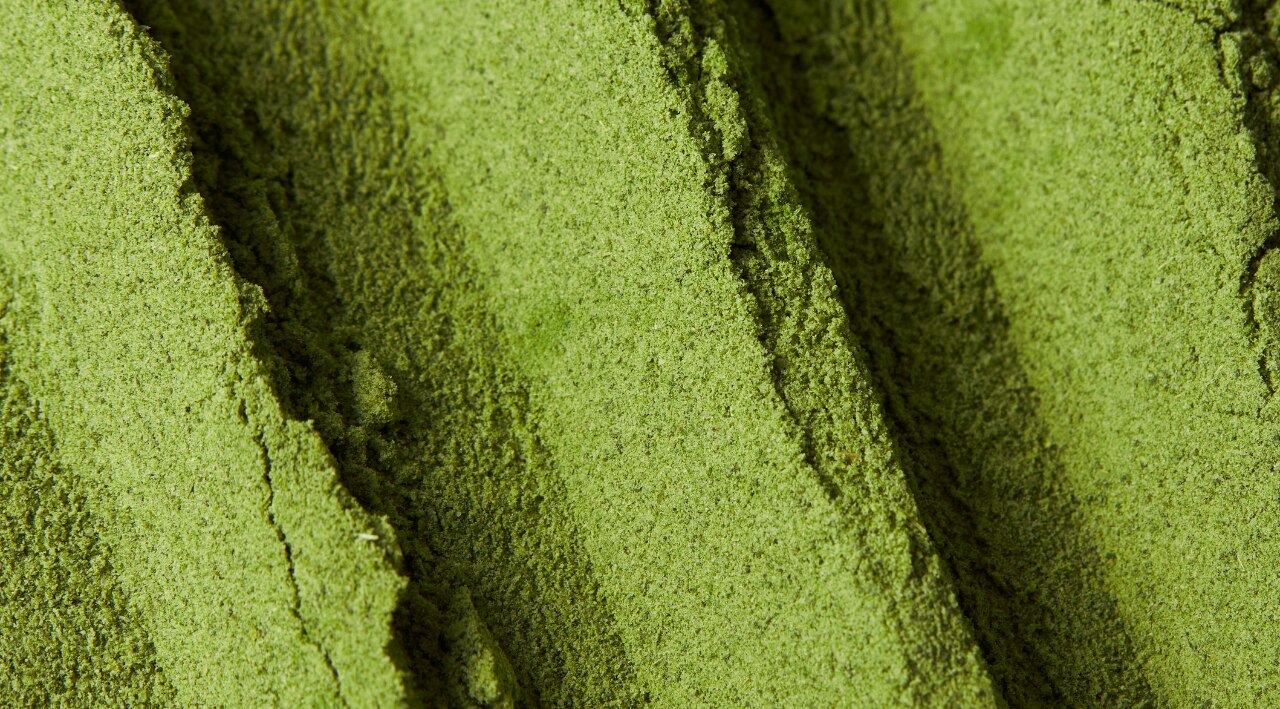 Is Moringa Powder Good for Weight Loss?