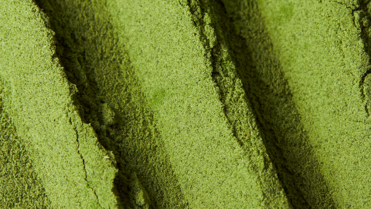 Is Moringa Powder Good for Weight Loss?