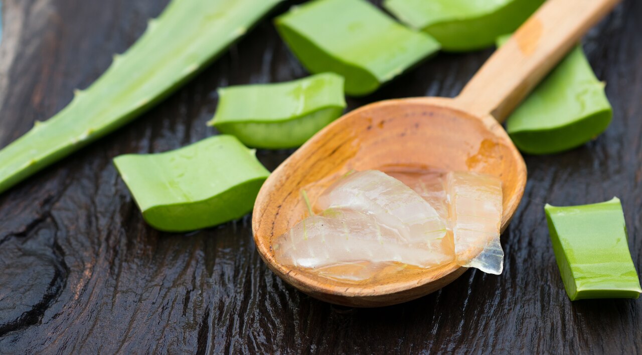 Aloe Vera: