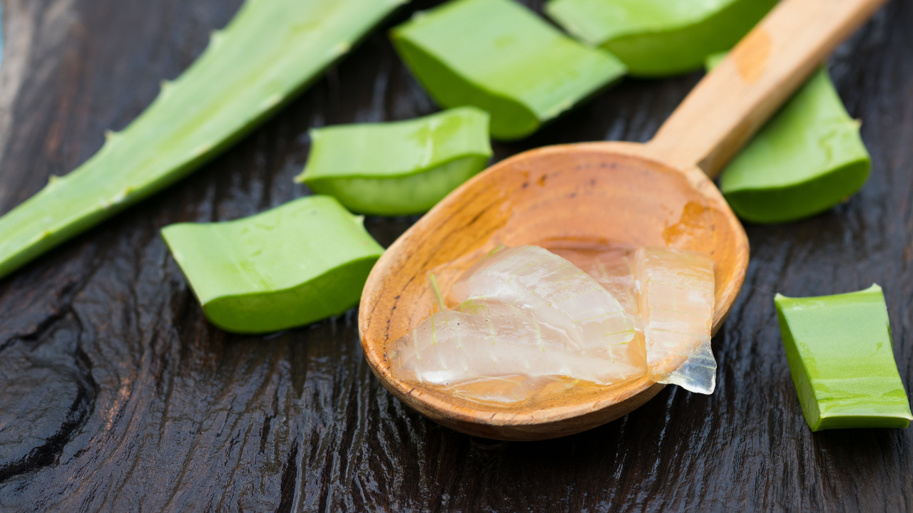 Aloe Vera: