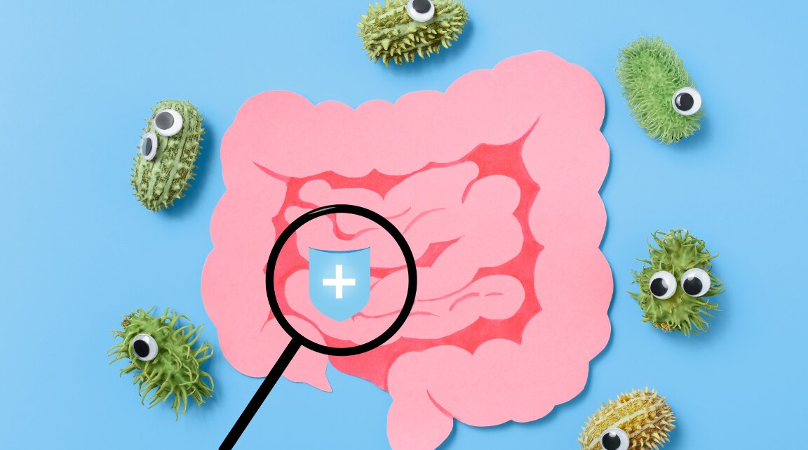 Gut Health and Wellness Trend Explained