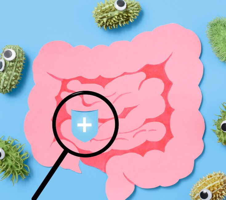 Image of Why Gut Health Is Becoming the Biggest Wellness Trend Right Now