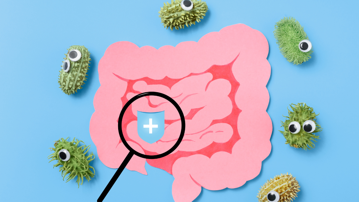Gut Health and Wellness Trend Explained