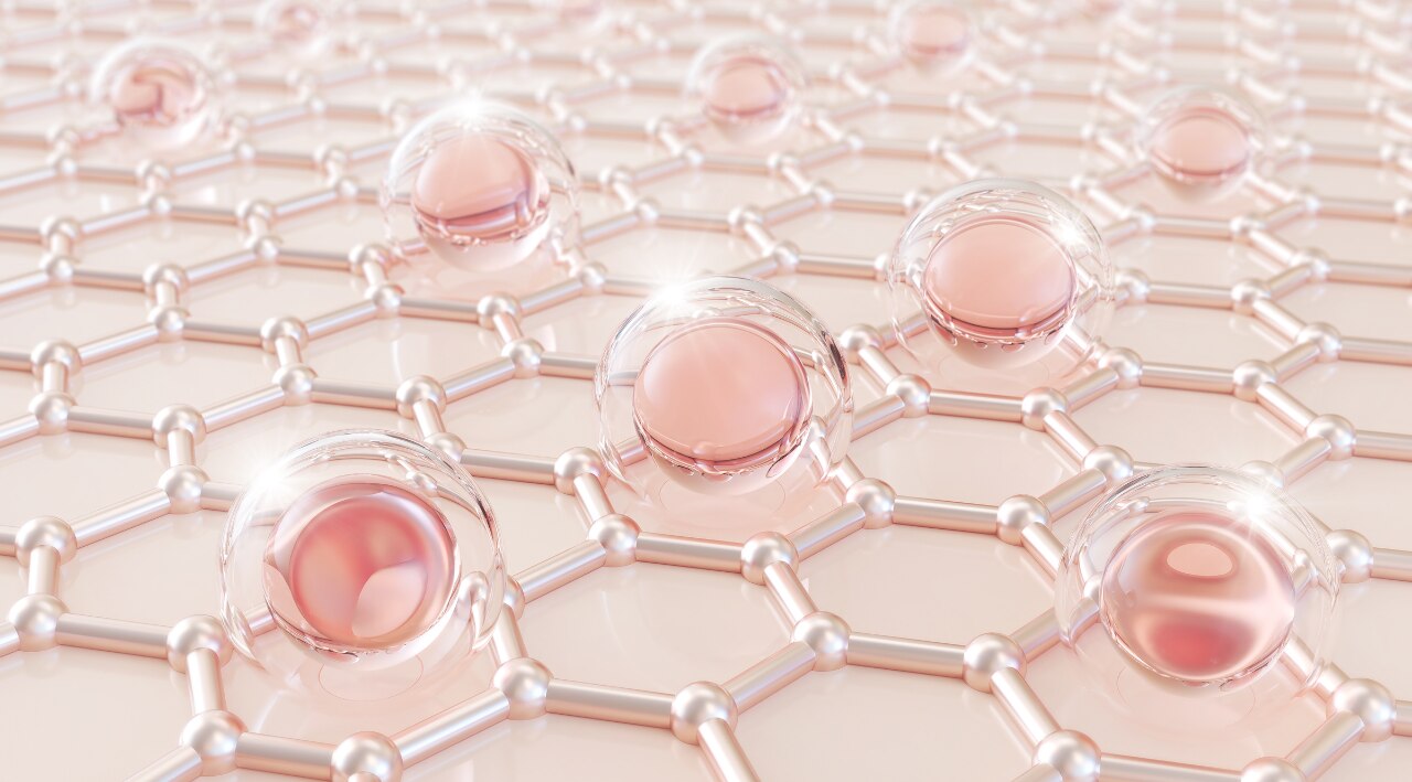 Supporting the Skin Barrier