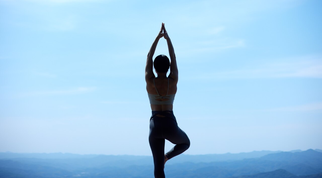 Can Support Overall Wellness