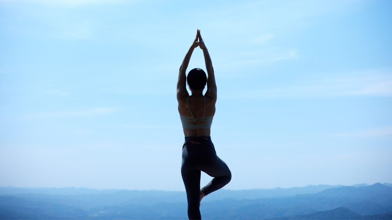 Can Support Overall Wellness
