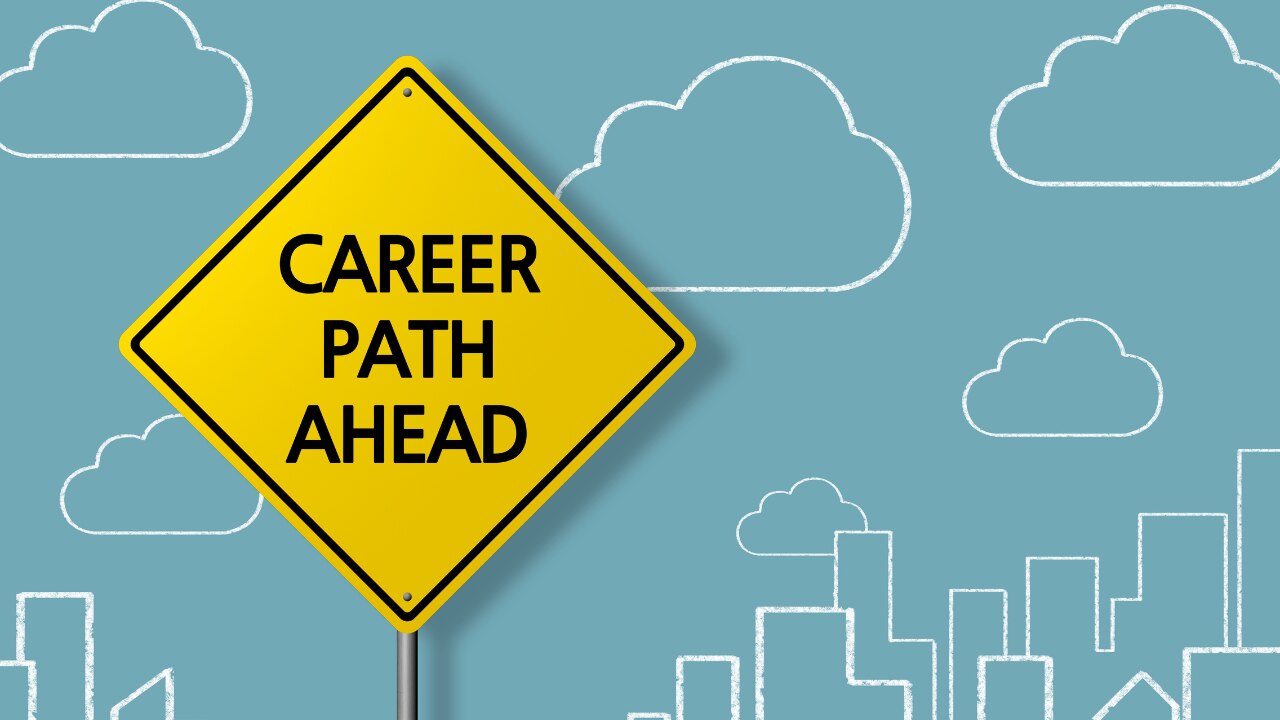 Career