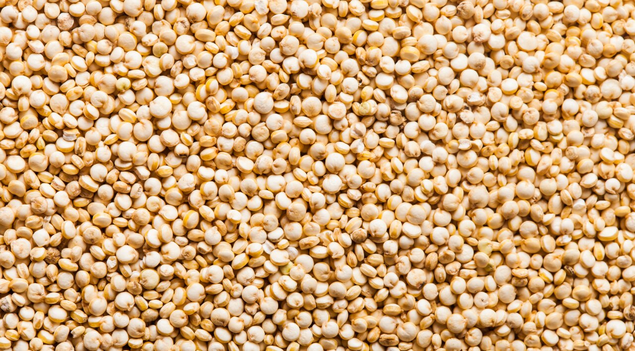 Quinoa