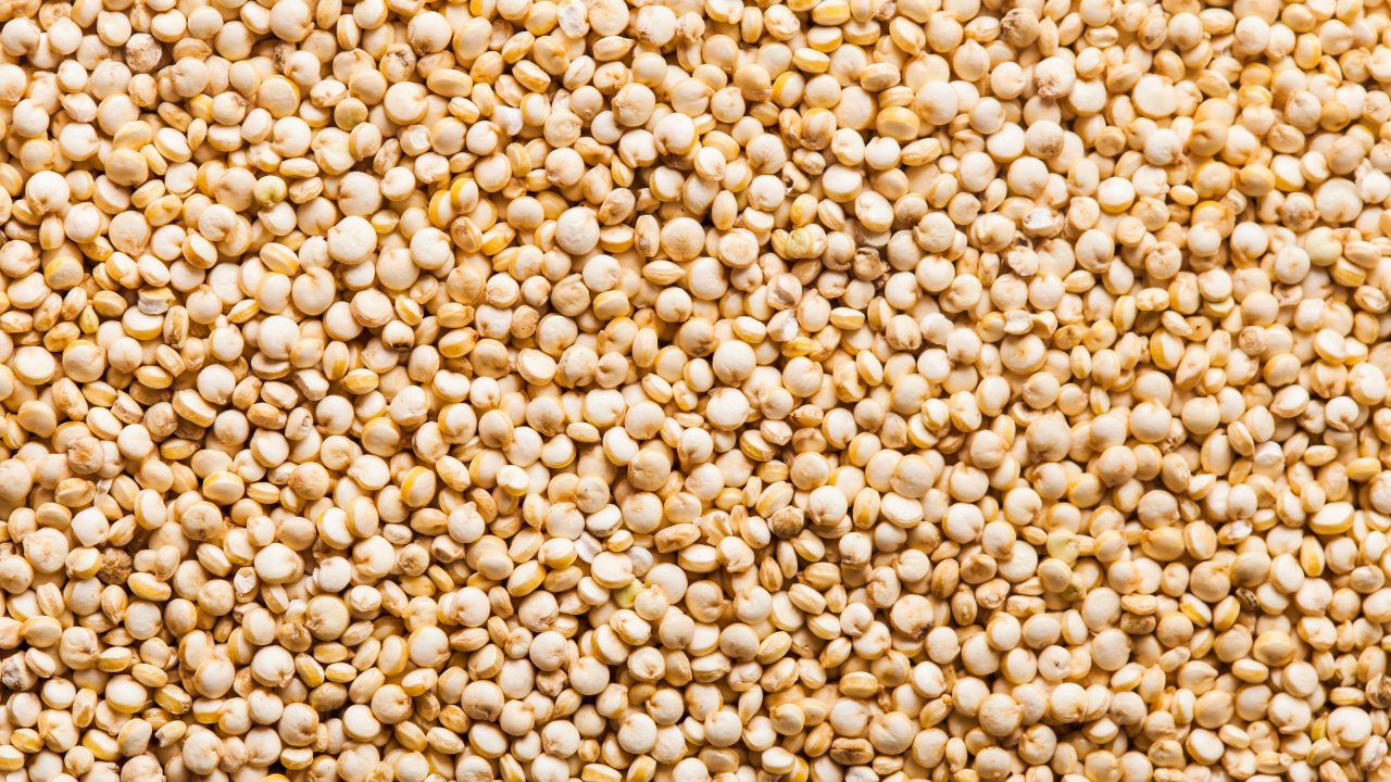 Quinoa