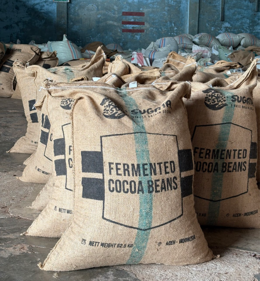 Building more sustainable and inclusive cocoa supply chains in Indonesia