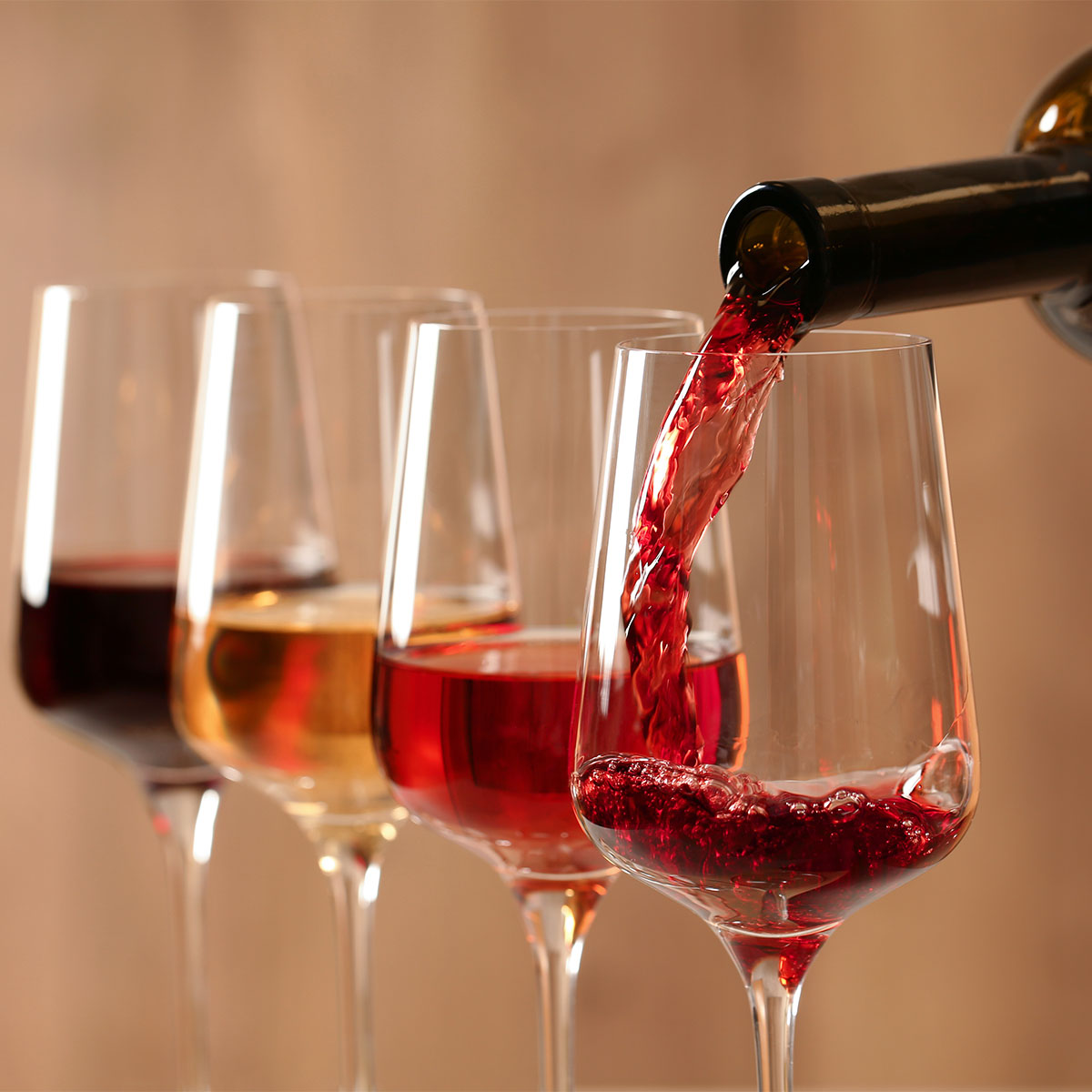 Magnum Chocolate and Wine Pairing