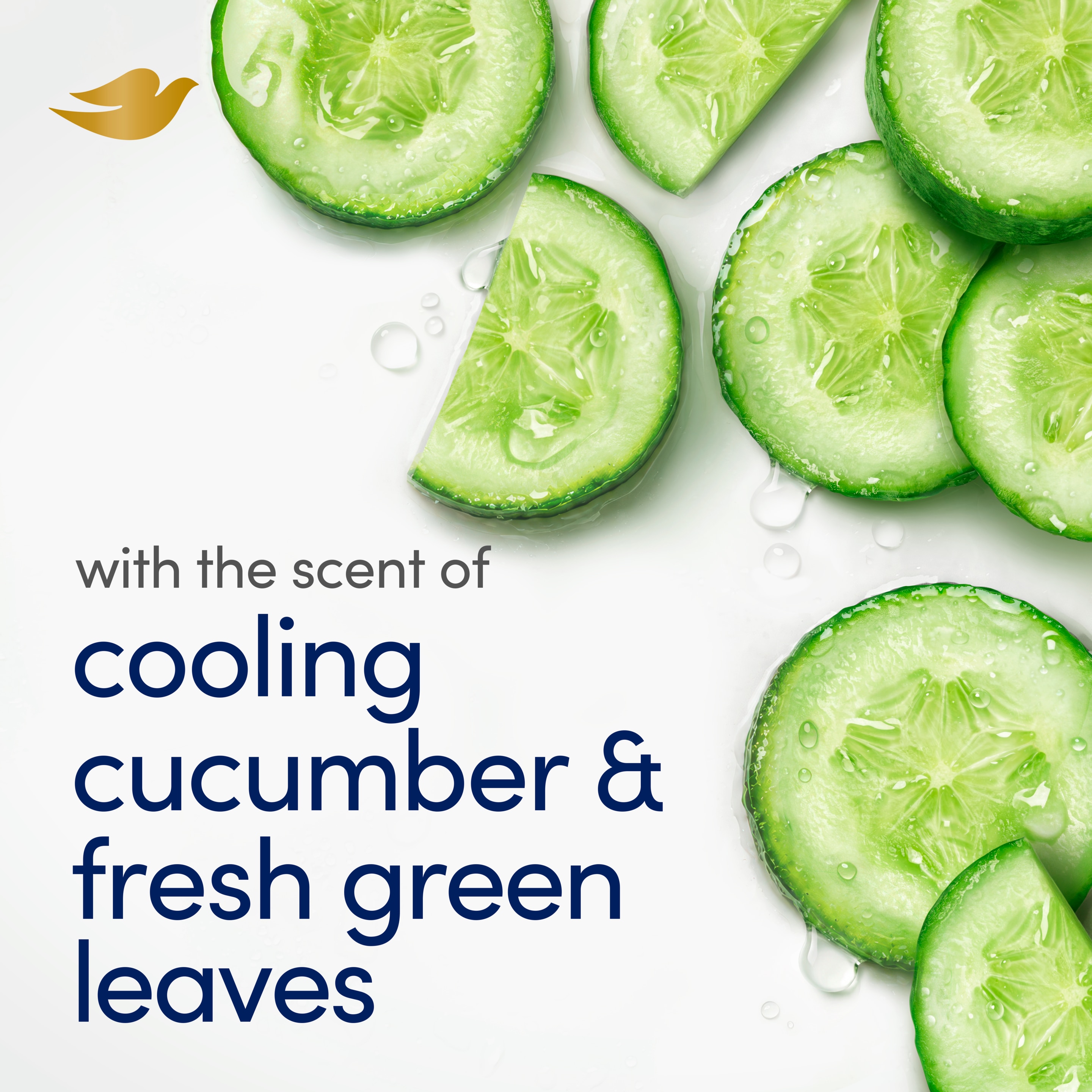 Cool Moisture Beauty Bar