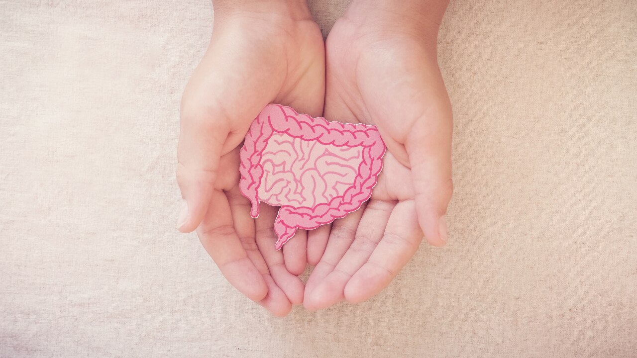3. Helps Maintain a Healthy Gut Microbiome