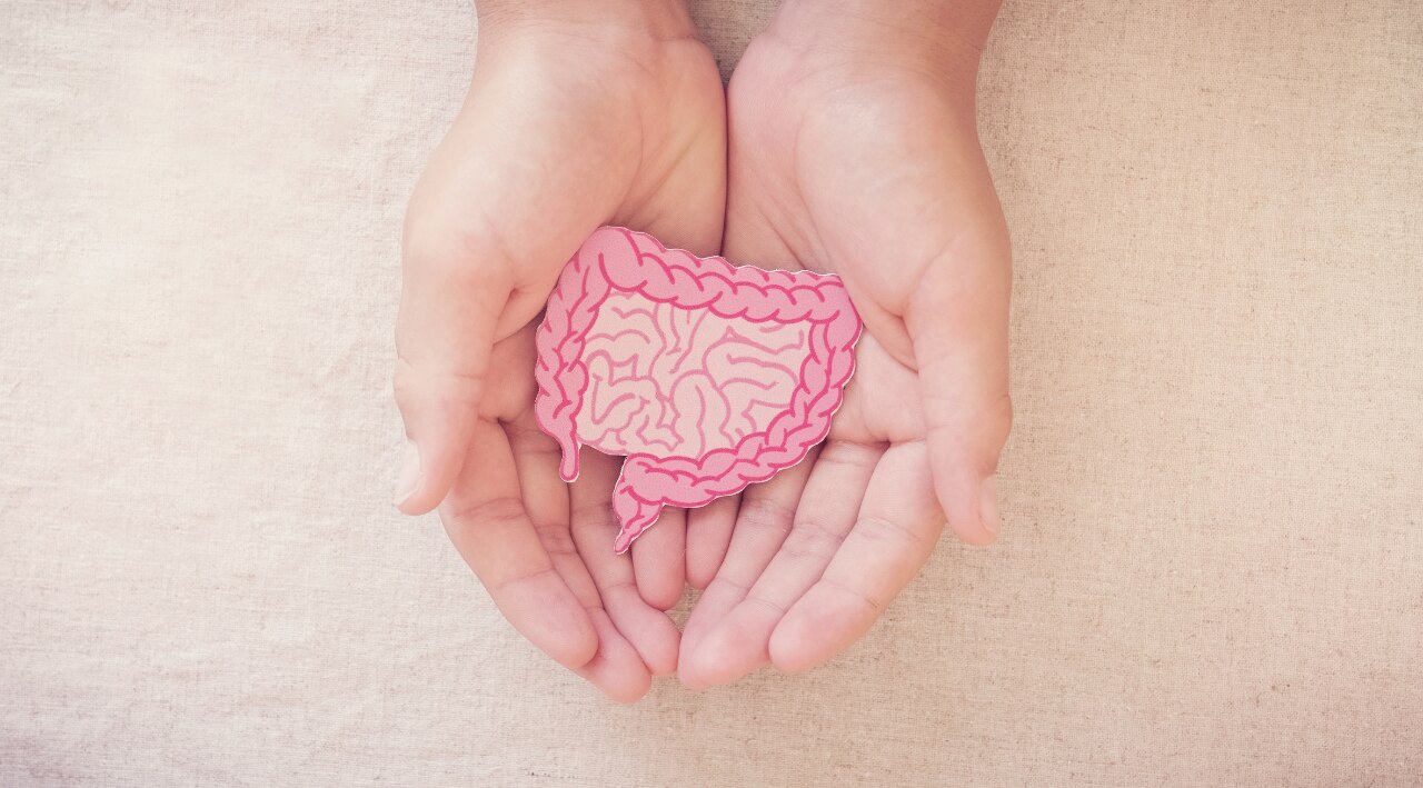 Gut Health Booster: