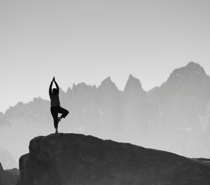 Image of International Yoga Day 2026: 10 Easy Yoga Asanas Every Beginner Can Start With