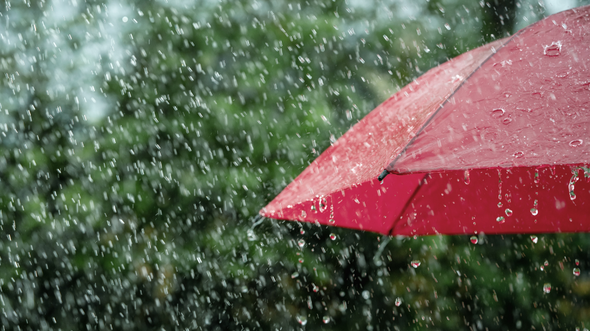Monsoon Makeup Mistakes That Affect the Skin Barrier