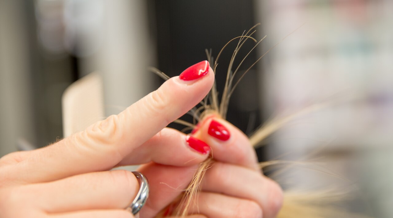 What Are Split Ends and Why Do They Happen?