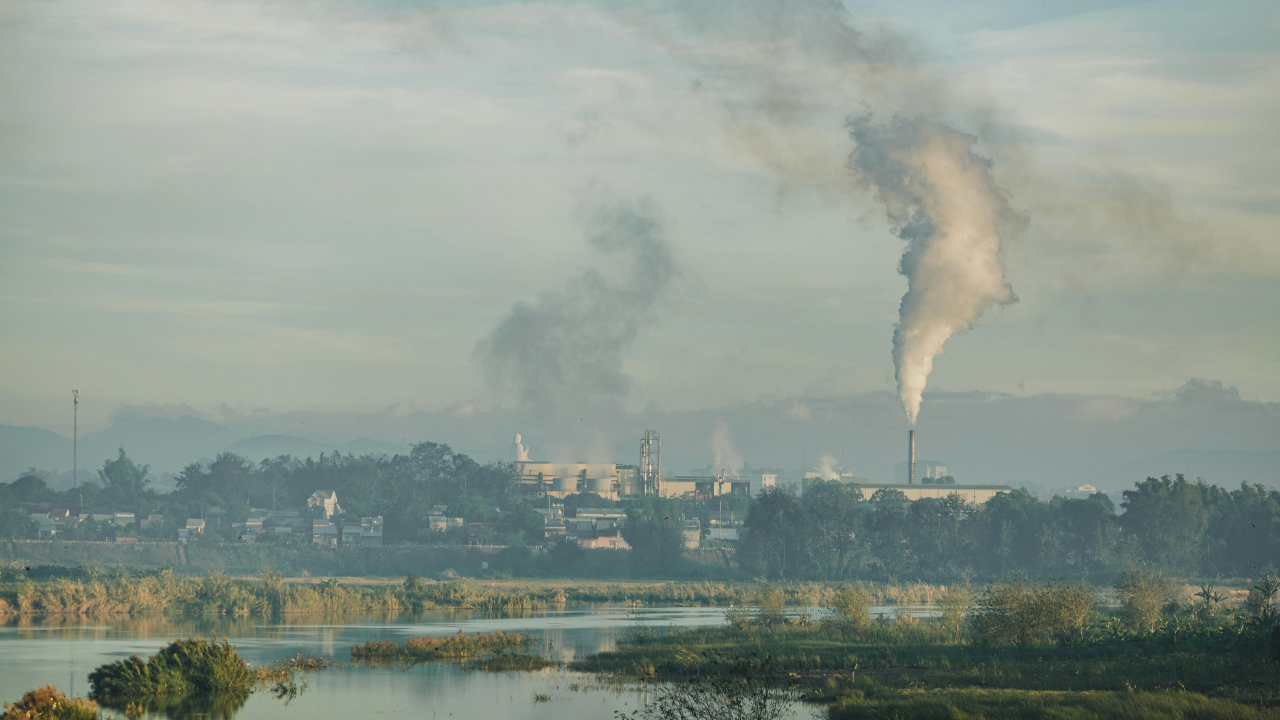 Environmental Damage