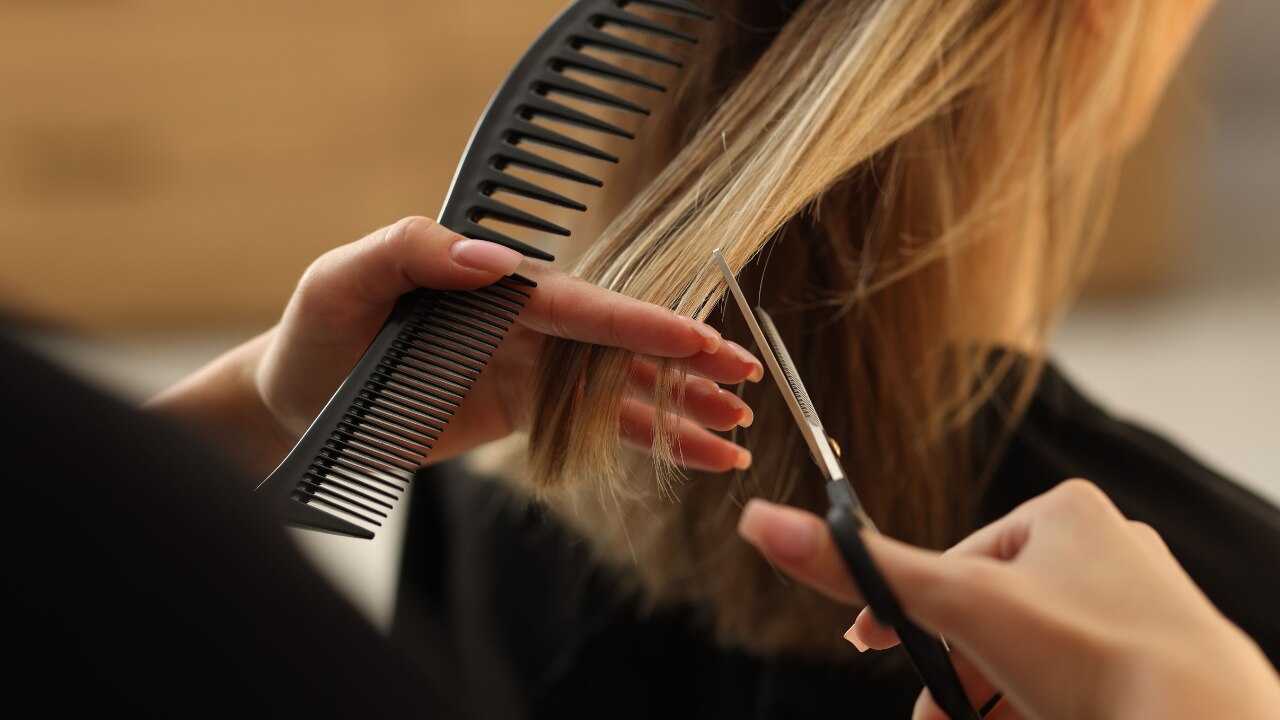 Schedule Regular Trims