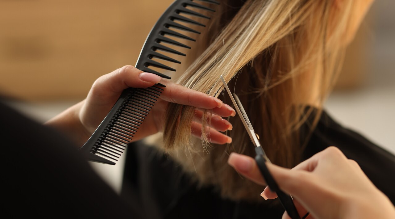 Schedule Regular Trims