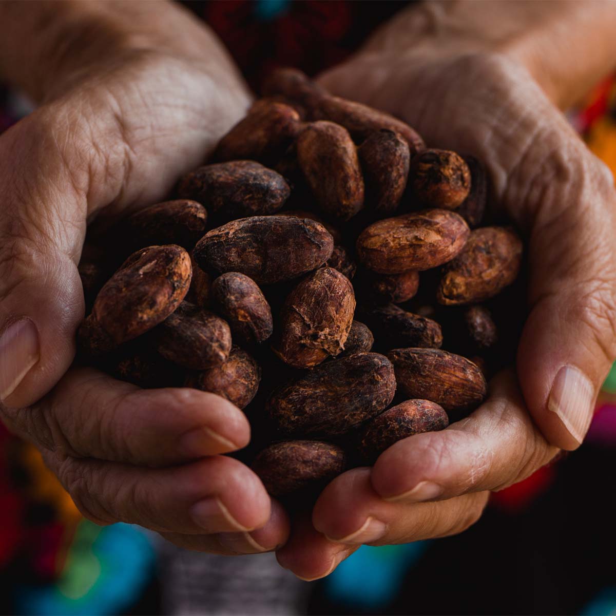 The History of Chocolate from Cacao to Magnum