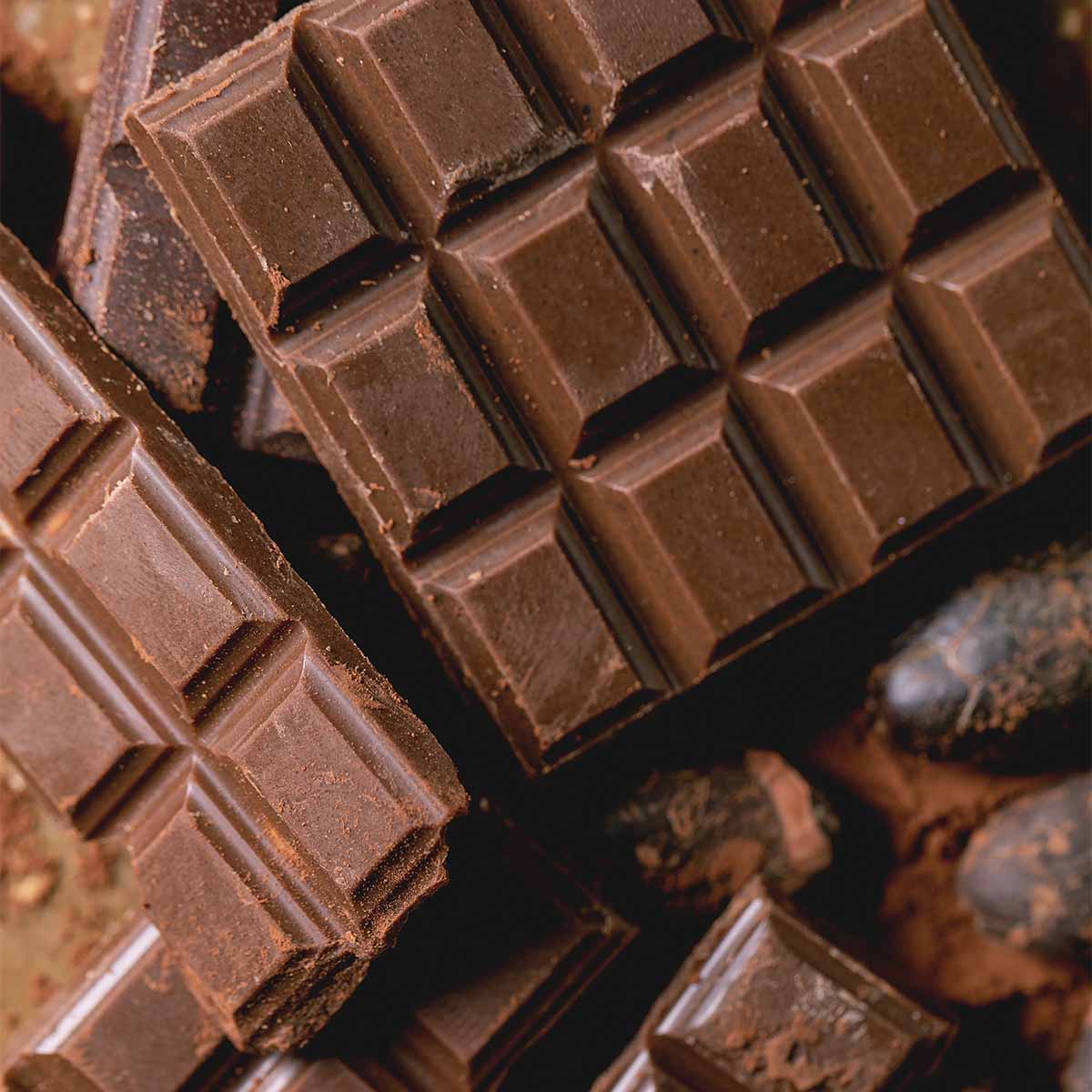 Blocks of milk chocolate and cacao