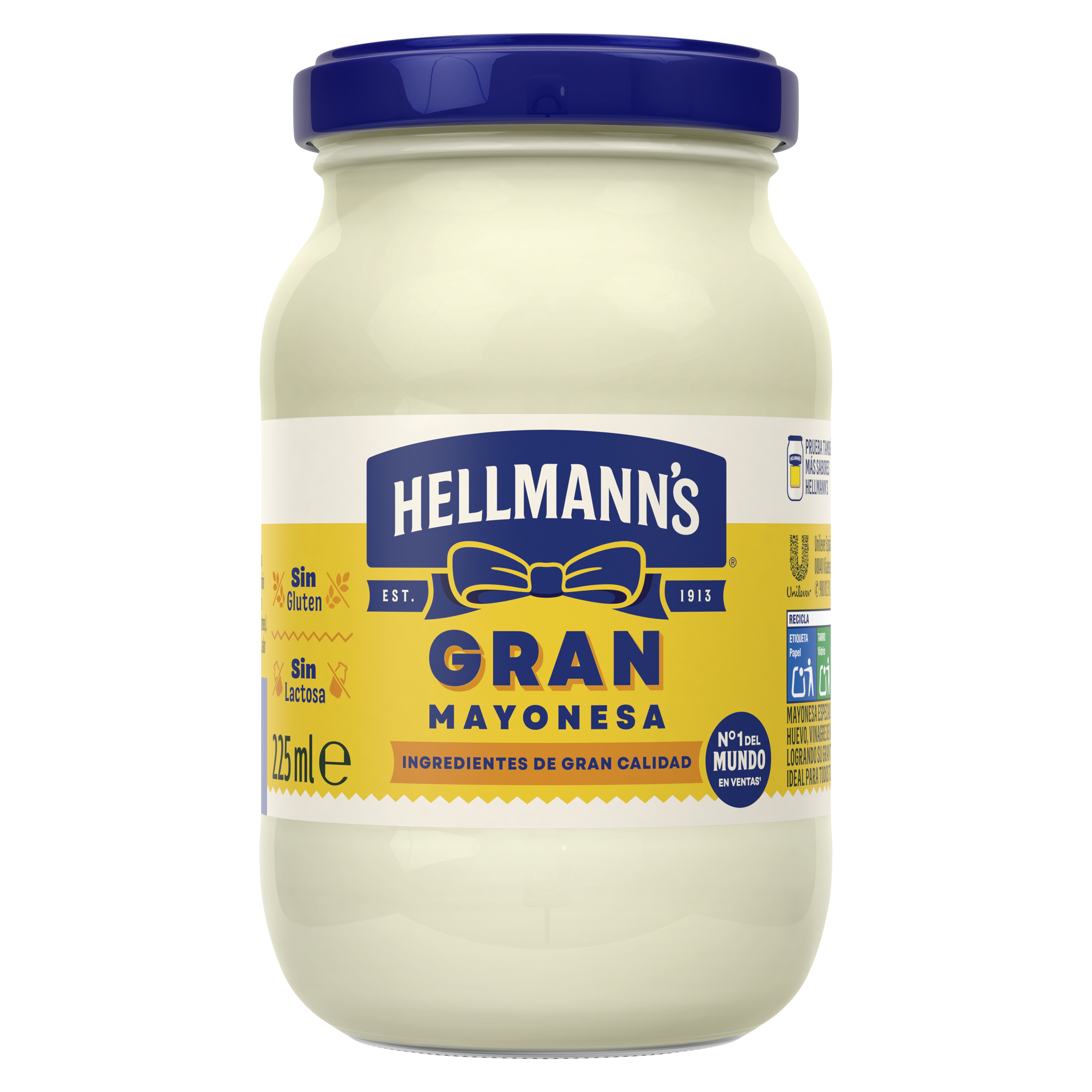 Hellmann's Gran Mayonesa (225ml) packshot