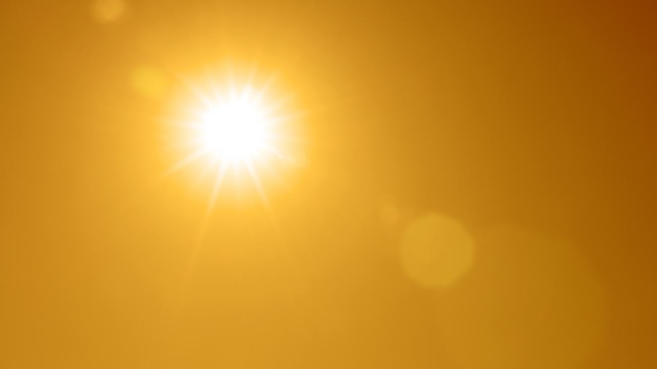 Sun-Induced Pigmentation