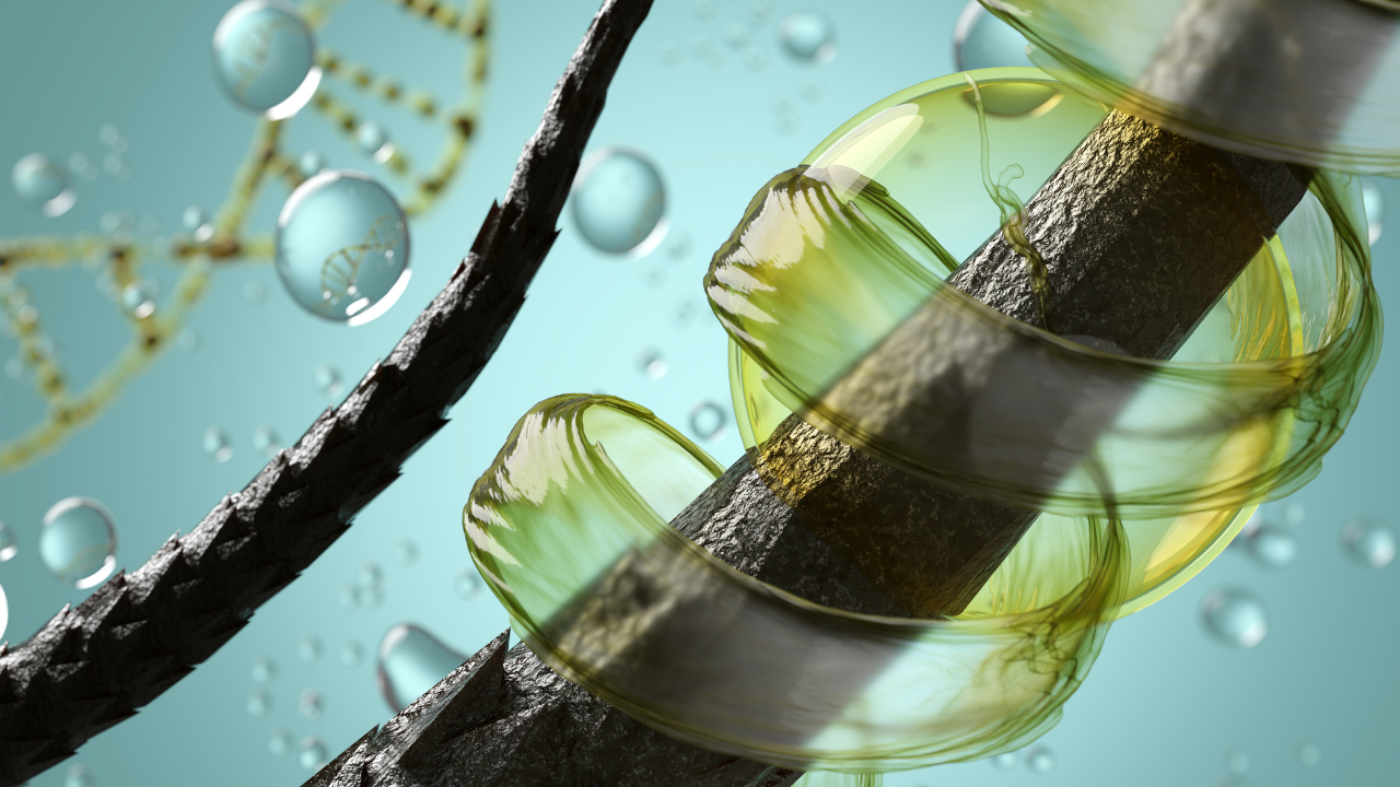 Why Protein Matters for Hair Growth