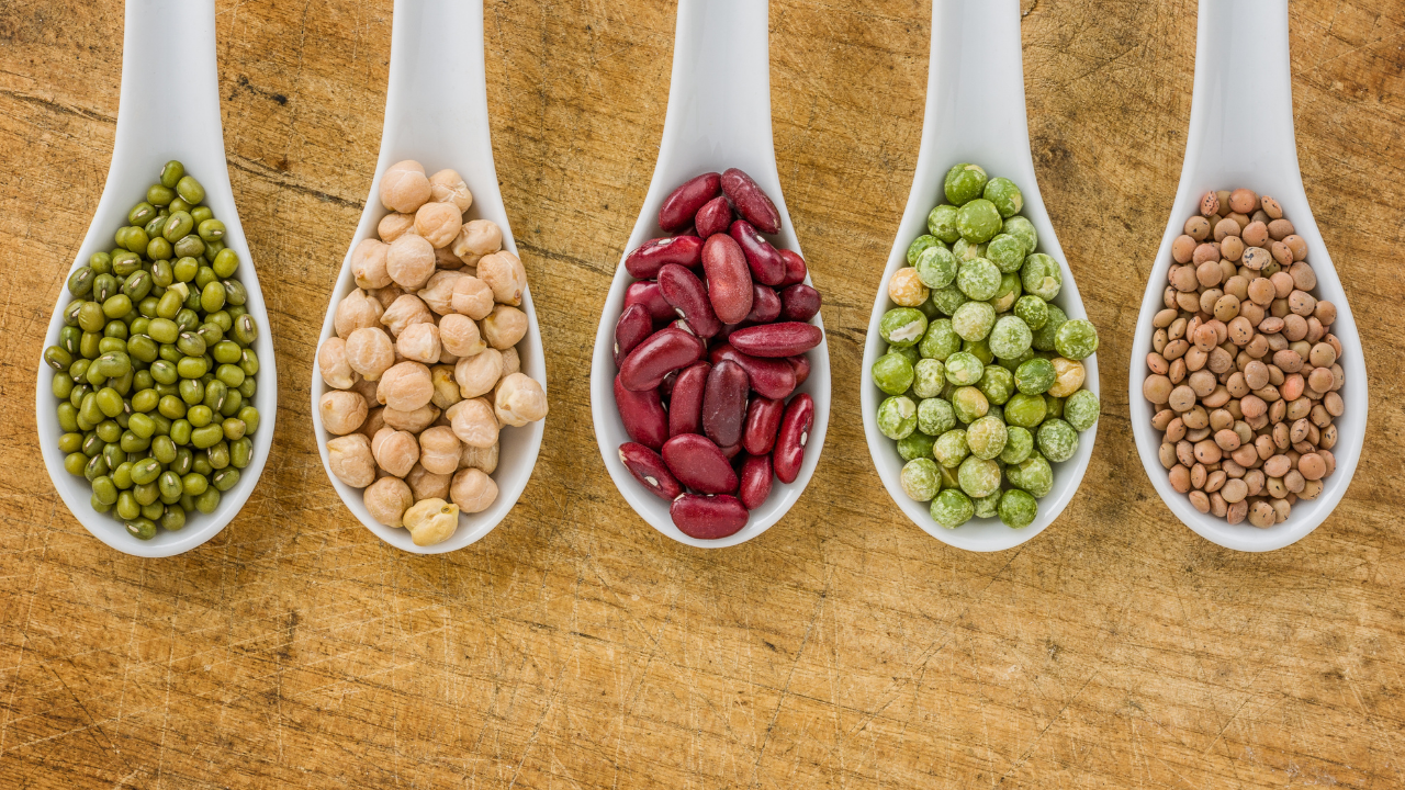 Legumes