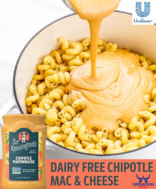 SirK dairy free chipotle mac cheese article