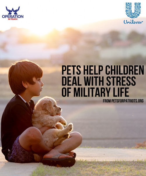 OIT pets help children deal with stress of military life article