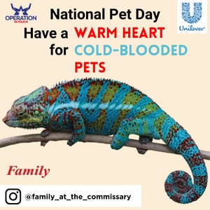 OIT Natl Pet Day Have a Warm Heart for Cold-Blooded Pets article