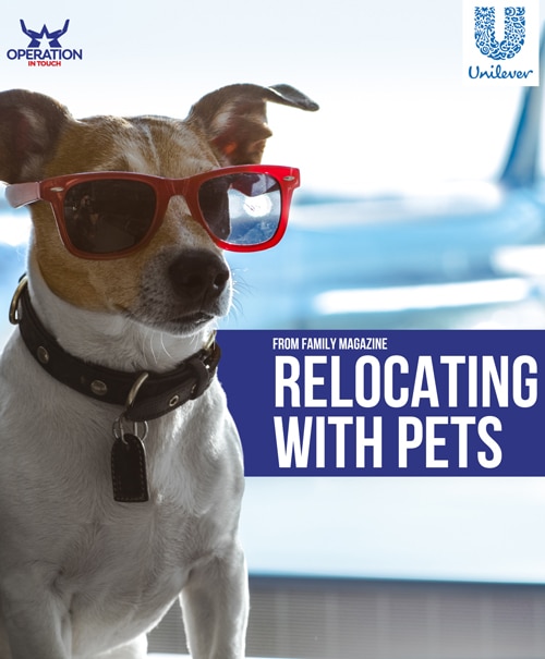 OIT relocating with pets article