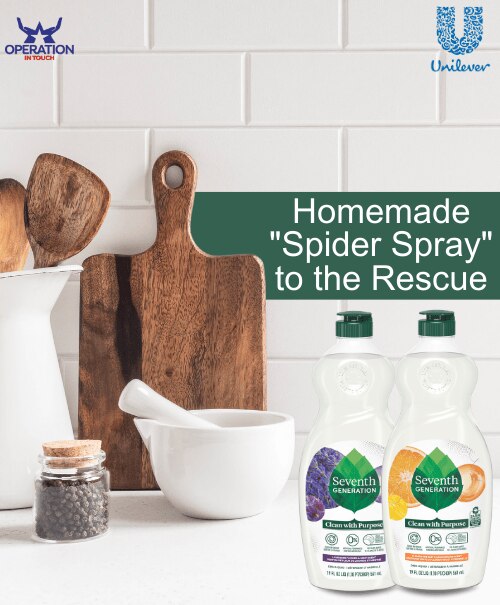 SVG homemade spider spray to the rescue article copy
