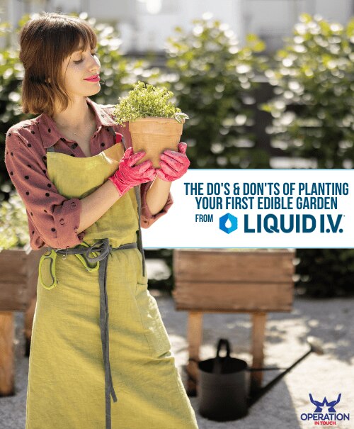 LIV planting your first edible garden article 3