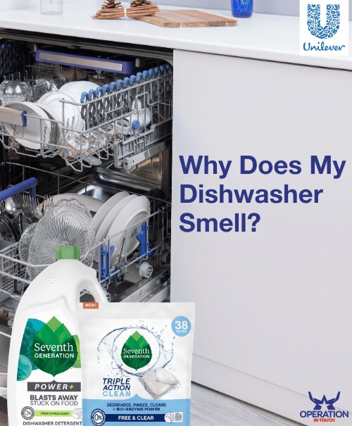 SVG why does my dishwasher smell article 4
