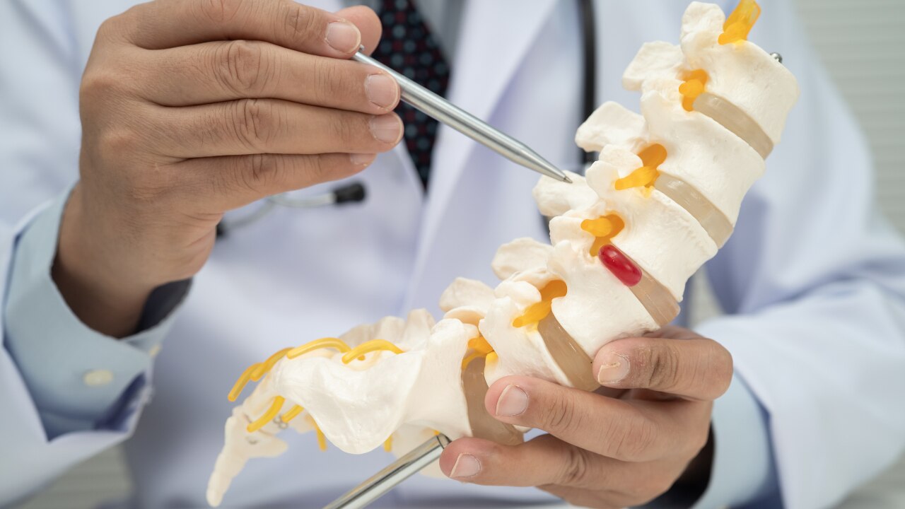 Helps Maintain Bone Health