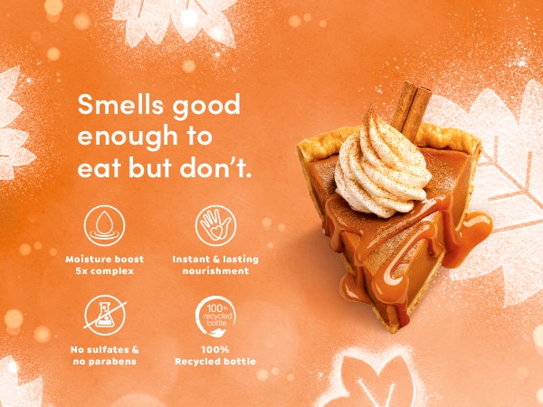 Dove Liquid Hand Wash Cinnamon Pumpkin Pie