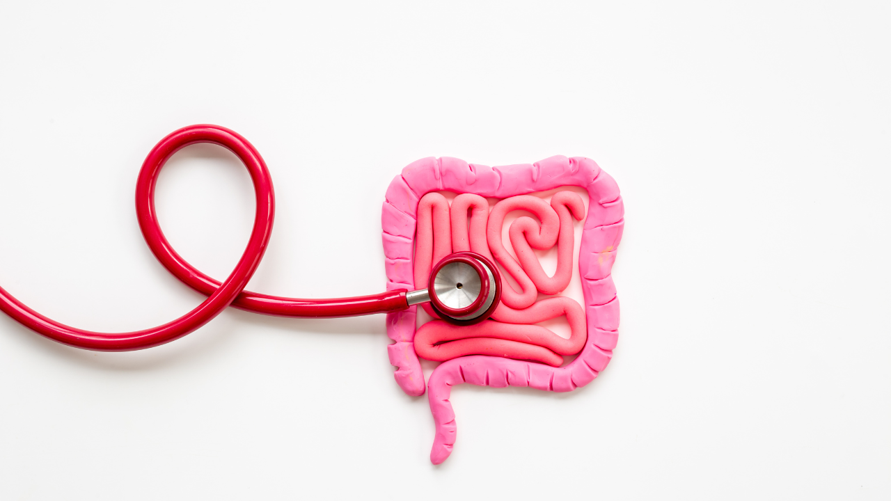 8. Contributes to Colon Health