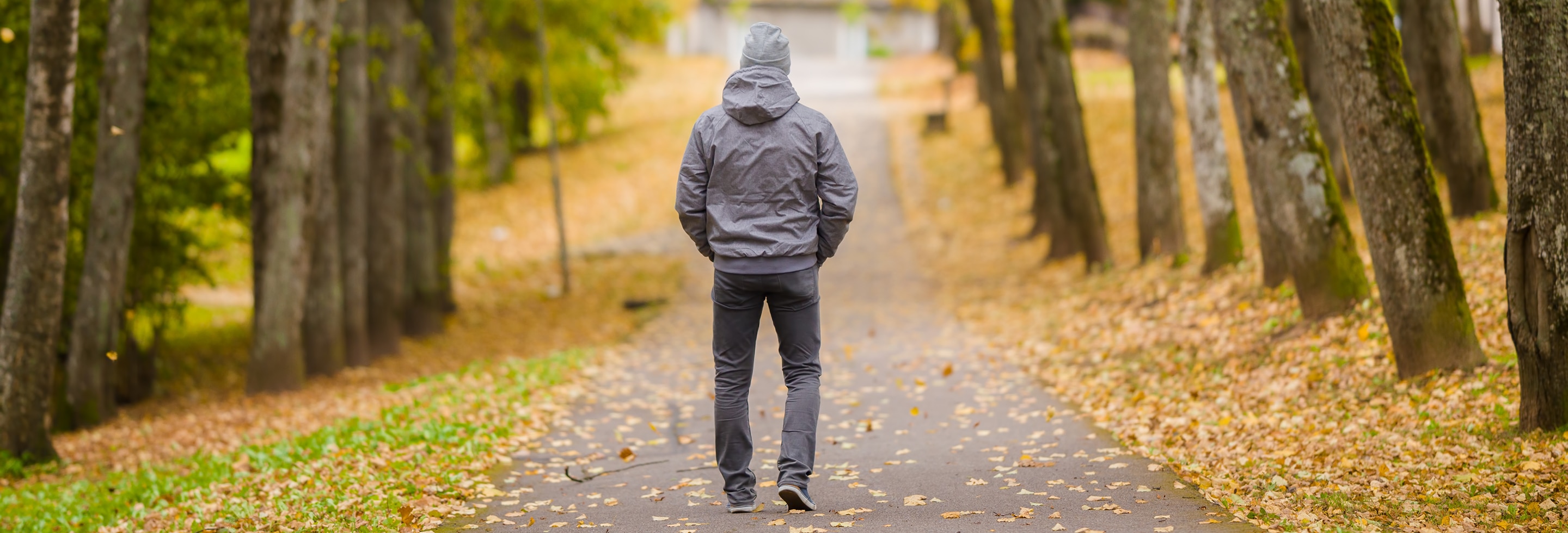 Man who knows the benefits of walking daily, taking a walk through alley of trees.